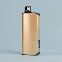 Alibarbar Ingot 9000 pust engangsvape med 22 ml, LED-display, ikke genopladelig